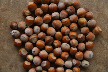 fresh hazelnuts on wooden table . Group of hazelnuts on wooden background closeup . Close up of hazelnuts on wooden table .