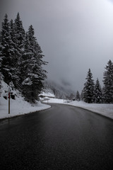 Obraz premium road in winter forest