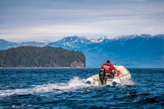 Coastal exploration by zodiac. Icy Strait Point, Alaska. Excursion by motor boat. Single man is driving a rib vessel. High speed. Amazing view on snow mountains. 