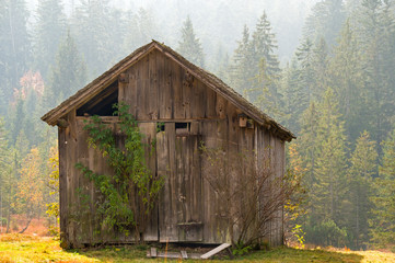 Fohramoos  Hochmoor  Losenpass