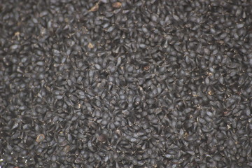 pile of basil seeds tukmaria spice macro as background