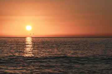Sunrise over the sea with birds in Acitrezza, Sicily - Italy