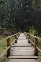 Fototapeta premium wooden bridge to cross the lake Synevyr in the forest in Ukraine