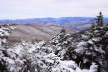 Fototapeta na wymiar Panter Mountain