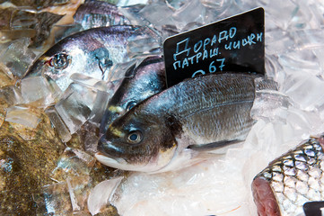 fresh Dorado fish on ice at the grocery market