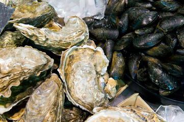 Fototapeta na wymiar fresh oyster and mussels on ice