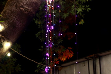 small colorful lights hanging from a tree branch