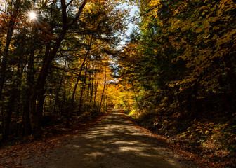 Obraz premium Vermont Country Road