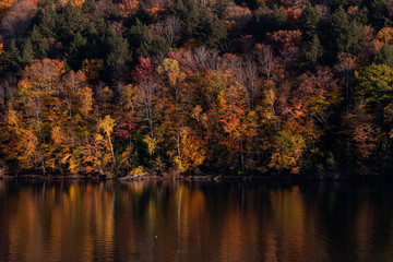 Autumn in Vermont