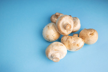 Bunch of fresh champignon mushrooms on the blue background. Close up of vegetarian healthy food.