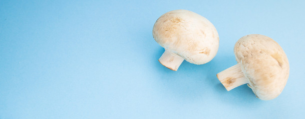 Bunch of fresh champignon mushrooms on the blue background. Close up of vegetarian healthy food.