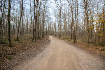 Forest Forest Izmit City Park, in the Giant Forest Park, zoo for children, hiking trails, lakes and bike trails available, on January 14, Kocaeli, Turkey