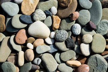 Color rendering of smooth and flat river rocks great for background, featuring contrasting values, textures, and shapes