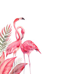 Flamingos. Watercolor tropical illustration with flamingo couple and palm tree leaves background. Hand drawn bright art