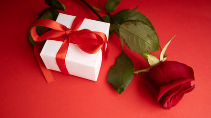 Red rose Gift for valentines day. Top view of present box package decorated into the white paper with red bow-knot. Flat lay on red background. Concept of celebrate. Love and amour.