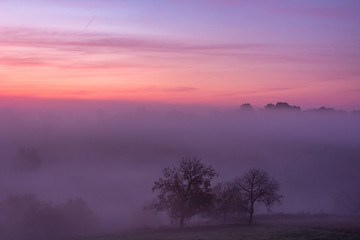 sunrise in the fog