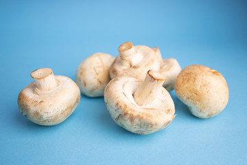 Bunch of fresh champignon mushrooms on the blue background. Close up of vegetarian healthy food.
