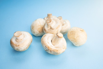 Bunch of fresh champignon mushrooms on the blue background. Close up of vegetarian healthy food.
