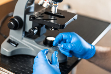 Fototapeta na wymiar Male laboratory assistant examining biomaterial samples in a microscope. Cllose up hands in blue rubber gloves adjust microscope