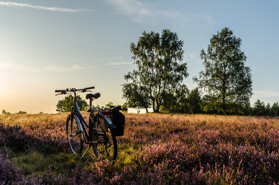 Fahrradfahren in der Lüneburger Heide