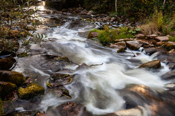 River flowing quickly in forest area. Sunny autumnal day. Estonia, Europe.