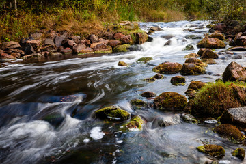 Rapids, wild river near Endla bog, Estonia. Raging water and mossy rocks at bank sides... - obrazy, fototapety, plakaty
