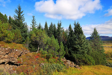 Autumn landscape of Pingvellir National Park, Iceland, Europe