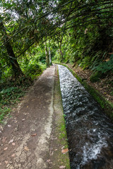 Footpath in Bali jungle
