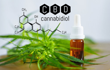 Cannabis oil, CBD oil cannabis extract, Medical marijuana. Medicinal CBD. Structural model of...