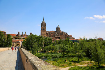 View of the Old Cathedral in Salamanca, Spain