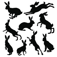 Hare silhouette set. Vector illustration