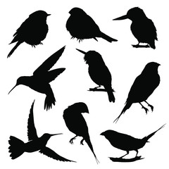 Bird silhouettes. Vector illustration