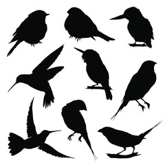 Obraz premium Bird silhouettes. Vector illustration