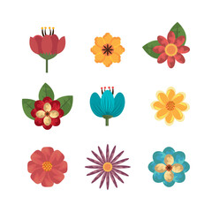 bundle of flowers naturals icons design