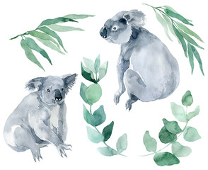 watercolor illustration of a koala with eucalyptus branches on a white background. The symbol of Australia is a cute koala bear with a cub behind its back. Koala sketch hand-drawn. © Anastasiia