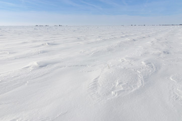 Patterns on a fresh snow texture on a field