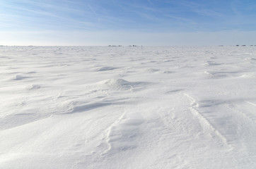 Fototapeta na wymiar Patterns on a fresh snow texture on a field