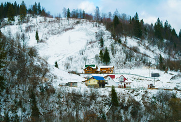 Snowy forest near Slavske village, Carpathian mountains, Ukraine. Horizontal outdoors shot