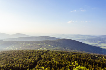 Aerial view on the deep green forest and blue sky during sunset on the background