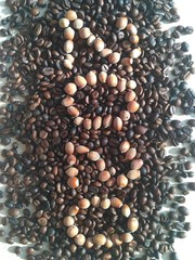 coffee beans on a black background