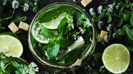 Fresh homemade mojito with mint and lime.