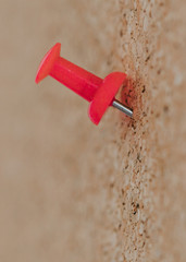 red push pin on a cork board