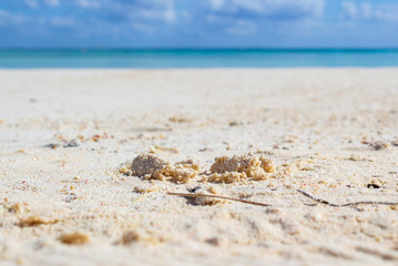 Detail of the white and fine sand of a tropical beach.
