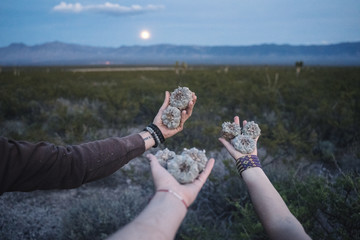 Holding peyote under the moon