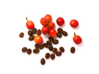 Naklejka na ściany i meble Red coffee beans and the roasted coffee beans isolated on white background.