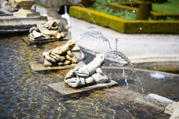 thermal water source in Karlovy Vary