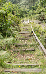 Obraz premium old train track - vía férrea antigua 