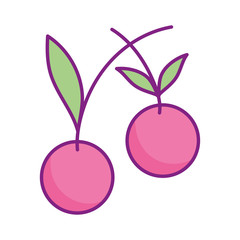 sweet cherry fruits fresh icon