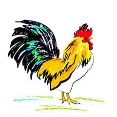 red and orange rooster