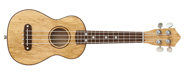 Obraz na płótnie Canvas Wooden ukulele Front view 3D